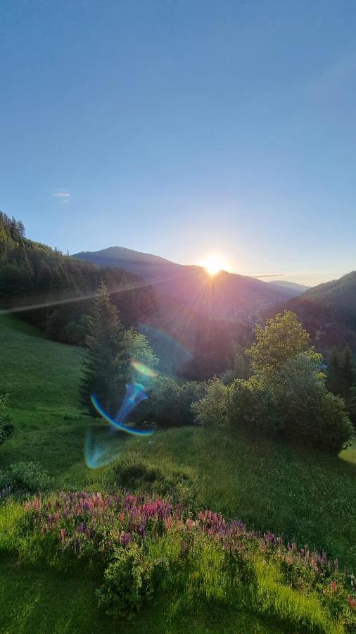 Appartement Rabensteiner *