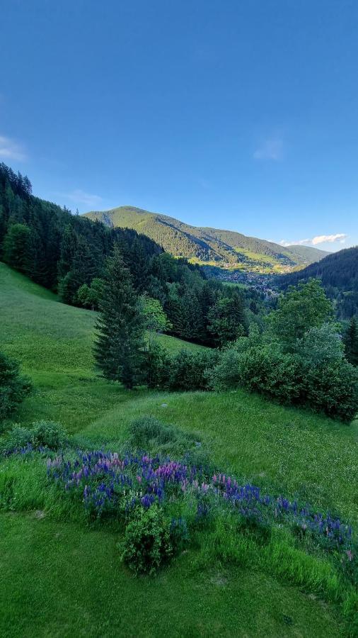 Appartement Rabensteiner